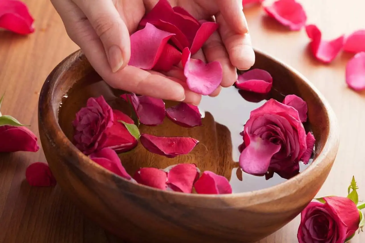 Pelle più giovane: scopri i 3 oli naturali per viso collo e mani che regalano risultati sorprendenti Immagine selezionata