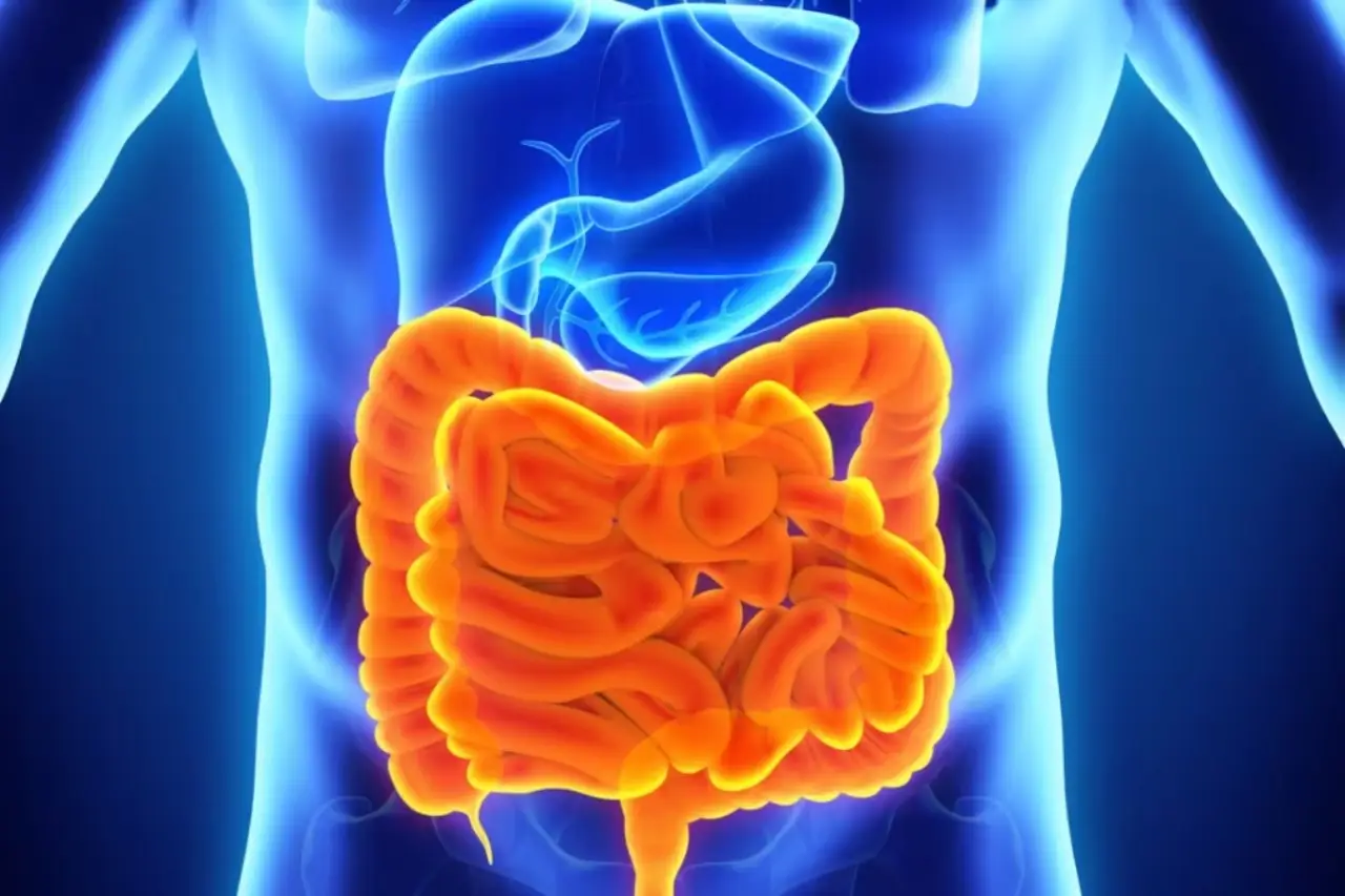 Mai combinare questi due cibi: rallentano la digestione SP - Piatto con mix sbagliato e simbolo stop