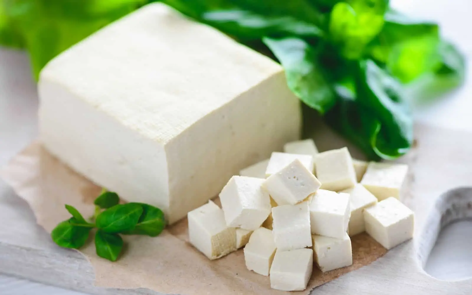 Cosa sapere sulle alternative vegetali alla carne per un’alimentazione bilanciata Cosa sapere sulle alternative vegetali alla carne per un’alimentazione bilanciata